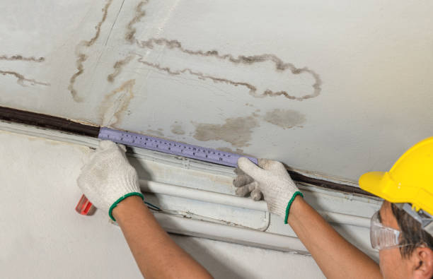 Reliable Mold Remediation contractor in Barry, TX by Water Damage Irwin
